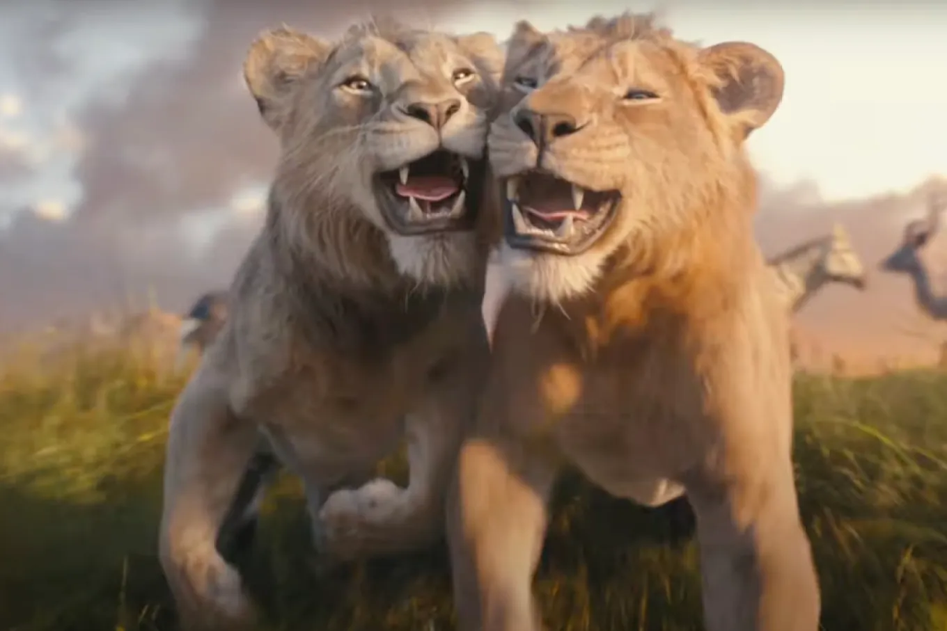 Mufasa: The Lion King – A Cool Origin Story for Disney Fans